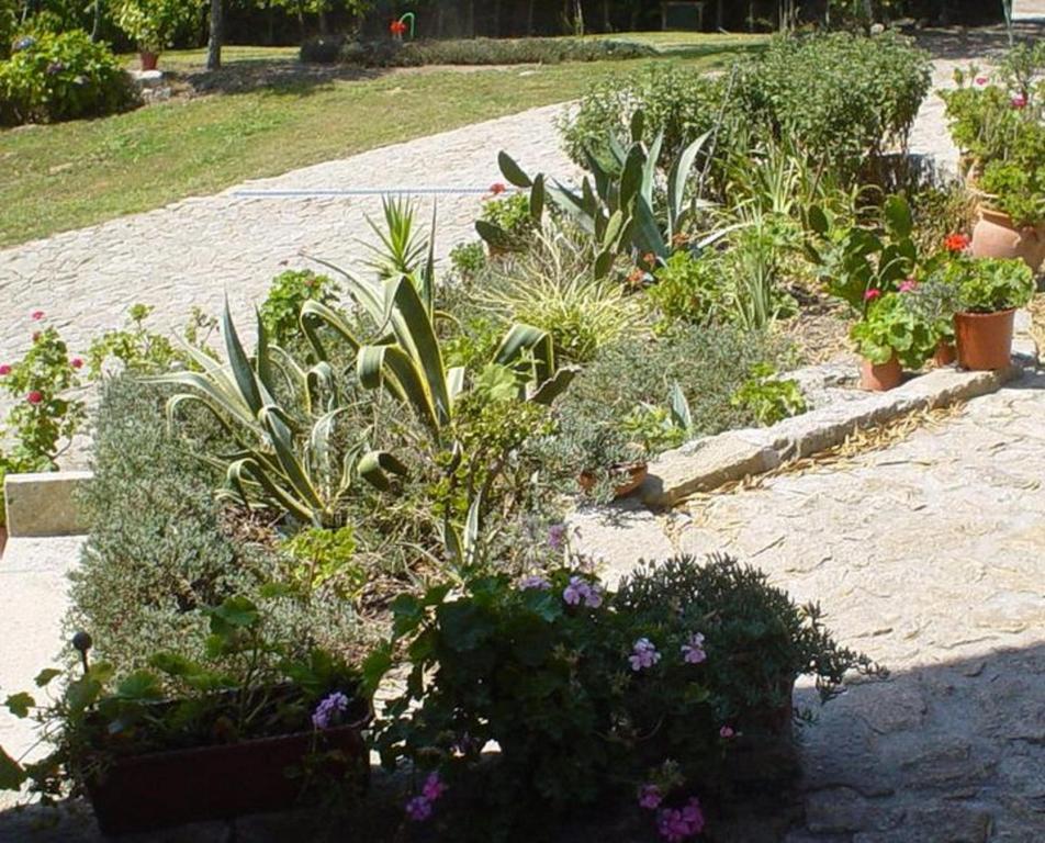 Casa Boavista Villa Паредес де Коура Екстериор снимка
